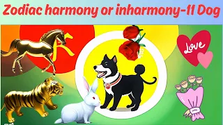 Zodiac harmony or inharmony-11 Dog