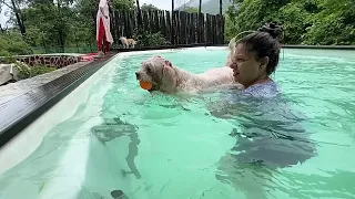 DOGS ARE NATURAL SWIMMERS | Ep 5 | Khopoli 2022 Series