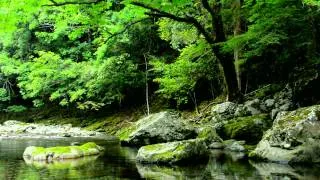 【自然音】せせらぎと野鳥のさえずり / Nature Sounds - Relaxing Sound of Water and Birdsong