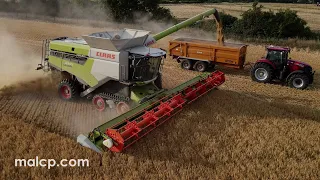 Harvest 2022: Claas Lexion 8700TT combine harvester + v1230 Vario header cutting barley ONE DAY OLD!