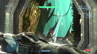 Swords on Guardian (Halo Online for pc)