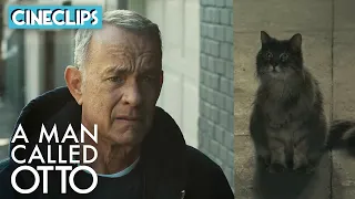 A Man Called Otto | Otto Becomes A Hesitant Cat Owner | CineClips