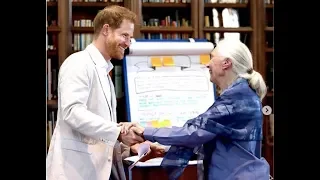 Meghan Markle and Prince Harry To Only Have 2 Children Maximum After Jane Goodall Meeting (2019)