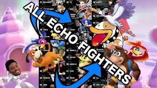 EVERY Echo Fighter For EVERY Character!!! [All Possible Echo Fighters/Funny]