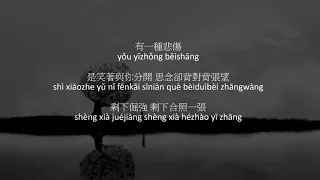 A Lin - A Kind of Sorrow Pinyin Lyrics 有一種悲傷歌詞