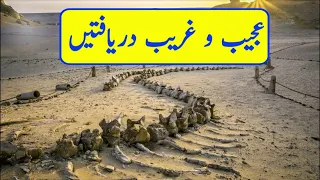 Top 5 Most Amazing Discoveries Scientist Still Can't Explain | Urdu/Hindi |