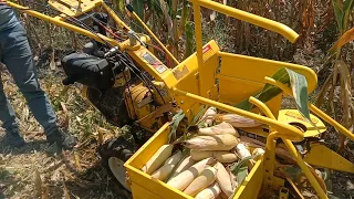 मक्का हार्वेस्टर | अब हो जाएगी मक्का Harvesting बहुत ही आसान | Maize Harvester | KK-MCH-01D