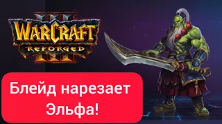 Блейд нарезает Эльфа‼️ Focus (Orc) vs 15sui (Ne) Warcraft 3 Reforged