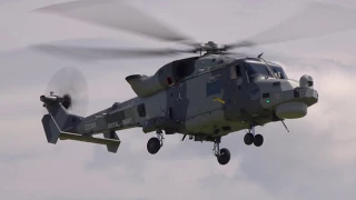 Wildcat Helicopter Demonstration - Yeovilton Air Day 2017