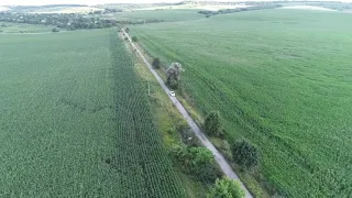 Досліди на кукурудзі - ефект від внесення КАС