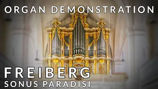 🎹 FREIBERG has a 1735 Gottfried Silbermann 32-stop organ (Demonstration)