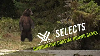 Coastal Brown Bear with a Bow | Vortex Selects