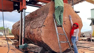 Wood Cutting Skills // The World's Largest Tree Left After The Ice Age