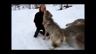 Unbelievable Friendship! People and Wild Animals HD