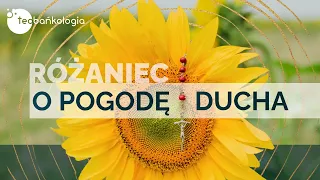 Różaniec Teobańkologia o pogodę ducha 29.01 Niedziela