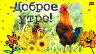 ДОБРОЕ УТРО , Я Желаю Тебе Добра!💖 Красивая Музыкальная Открытка Пожелание!💖 Чекалин!💖