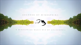 VA - Degrees Of Mindspring (Mixed by Chlorophil)