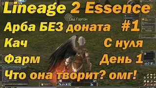 Что может арба БЕЗ доната, без кредита и родителей в Lineage 2 Essence на Руофе! Арба без вложений!