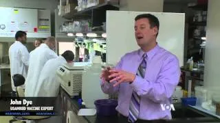 Researchers Testing Drugs Against Ebola