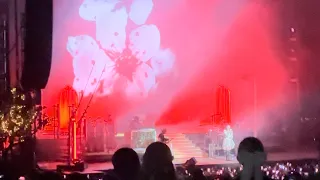 Lana Del Rey - “Cherry” / “Pretty When You Cry” (1/2) Live Dallas 2023