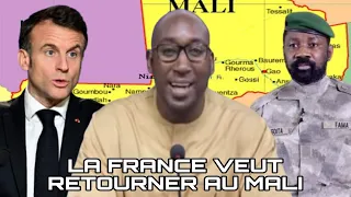 Amara Sylla - La France veut faire son retour au Mali.