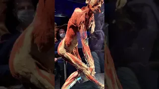 Body worlds