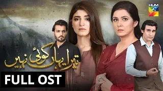 Tera Yahan Koi Nahin | Full OST | HUM TV | Drama