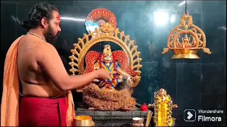 Today ayyappa Swami Vishesha Abhishekam Puja harathi 🙏