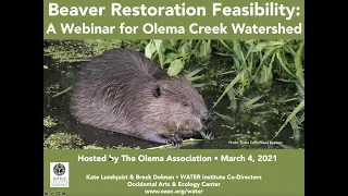 Beaver Restoration Feasibility: A Webinar for Olema, March 2021