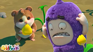 Un rongeur affamé | Nouveau ! Oddbods Français | Dessin Animé en Français