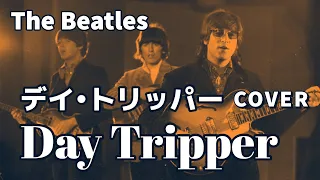 Day Tripper (デイ•トリッパー) カバー/ The Beatles (ビートルズ)/全楽器ひとり演奏