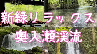 【青森観光】新緑でリラックス、奥入瀬渓流～十和田湖を散策　撮影：2024年4月29日