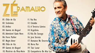 Zé Ramalho 2022 🔥 As 20 Melhores Músicas de Zé Ramalho 🔥 Música Popular Brasileira 2022