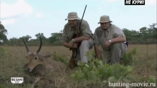 Hunting of lions in Tanzania