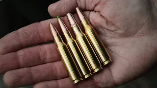 Sako ammunition - vad ska man välja?