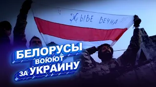 Белорусы воюют за Украину | FREEДОМ