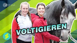 Voltigieren mit Laura - Die Sportmacher | ZDFtivi