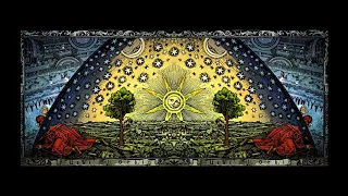 Terence McKenna - Nature Loves Courage (No Music)