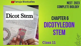 Ch-6 | Anatomy of Dicot Stem | Dicot Vs Monocot Stem | Class 11 Biology | NEET 2023 | #shorts