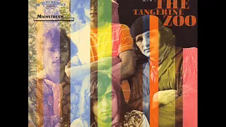 The Tangerine Zoo ‎– Can't You See ( 1968, Psych Rock, USA )