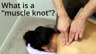 What are "muscle knots"? (for massage therapists and clients)