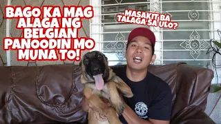 Vlog 16: TIPS BAGO KA MAG ALAGA NG BELGIAN MALINOIS | Based on my own experience | Tagalog