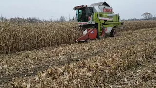 Claas Dominator 108 sl maxi  +  geringhoff