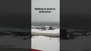 Walking to lunch in Antarctica!