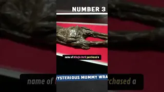 The Mystery of the Mummy Wrapped in a Foreign Book