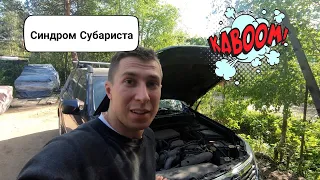 Синдром Субариста: Что то стучит, подвеска на Subaru Forester тотально ушатана