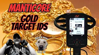 Gold Signals: Unveiling the Secrets of the Minelab Manticore. The Target IDs for Gold!