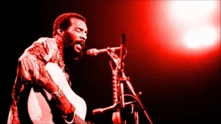 Richie Havens - High Flying Bird (Peel Session)