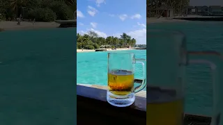 Sip N Chill in Maldives #centararasfushi #shortsvideo #maldivesdiaries #chilling #shorts