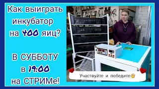 🔥Инкубатор Владимира Коробкова после 4 лет эксплуатации